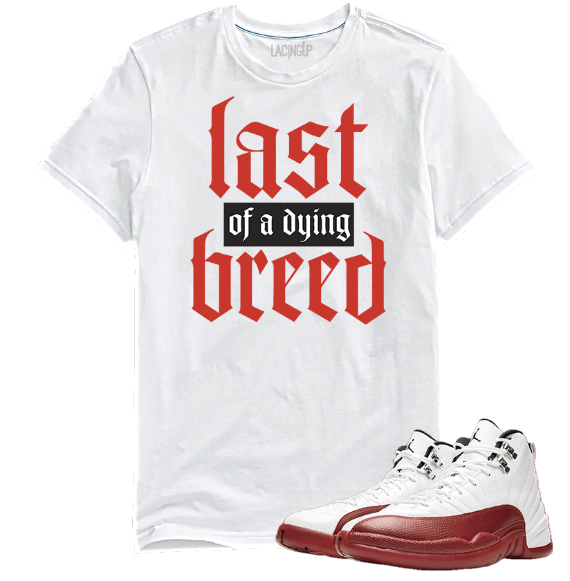 Jordan 12 Cherry breed white tee-Lacing Up