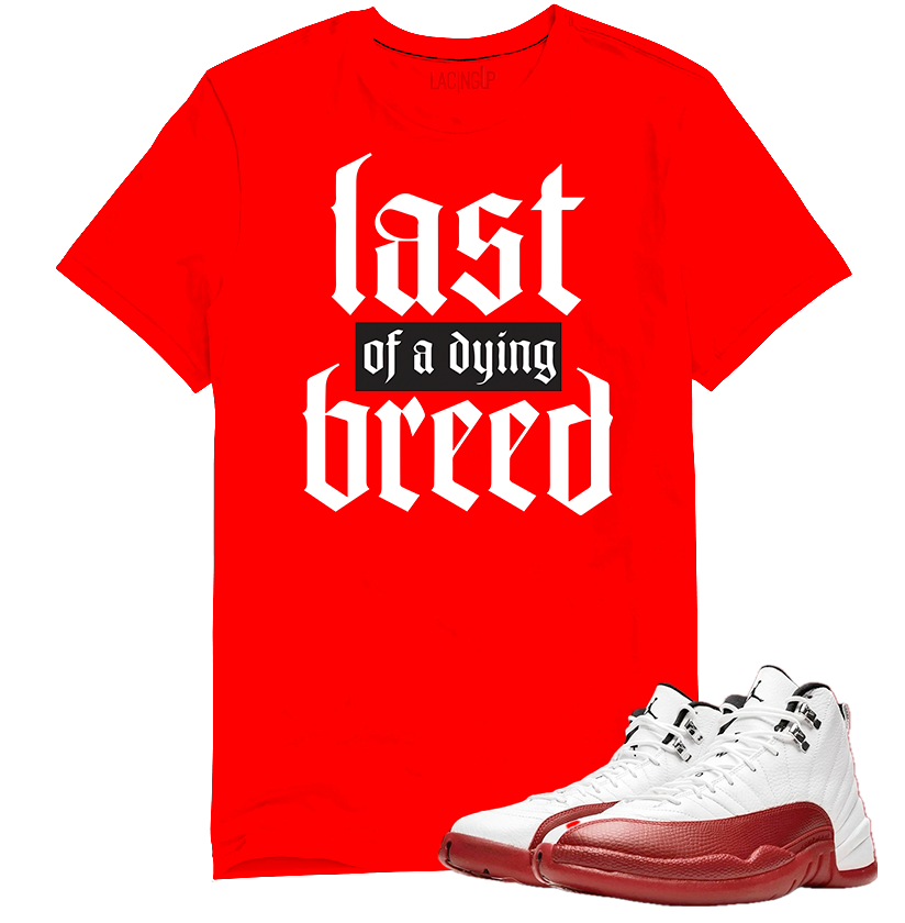 Jordan 12 Cherry breed red tee-Lacing Up