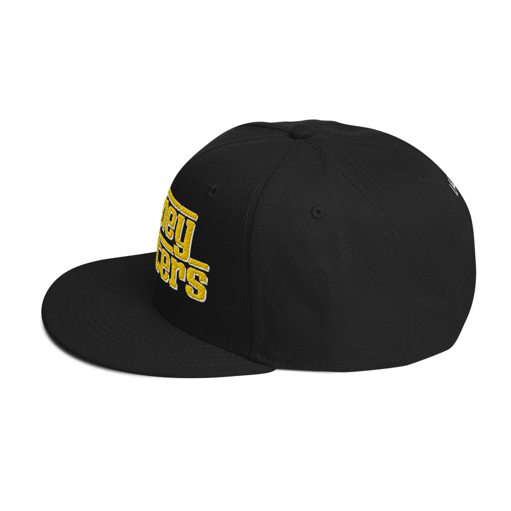 Money Matters Snapback Hat