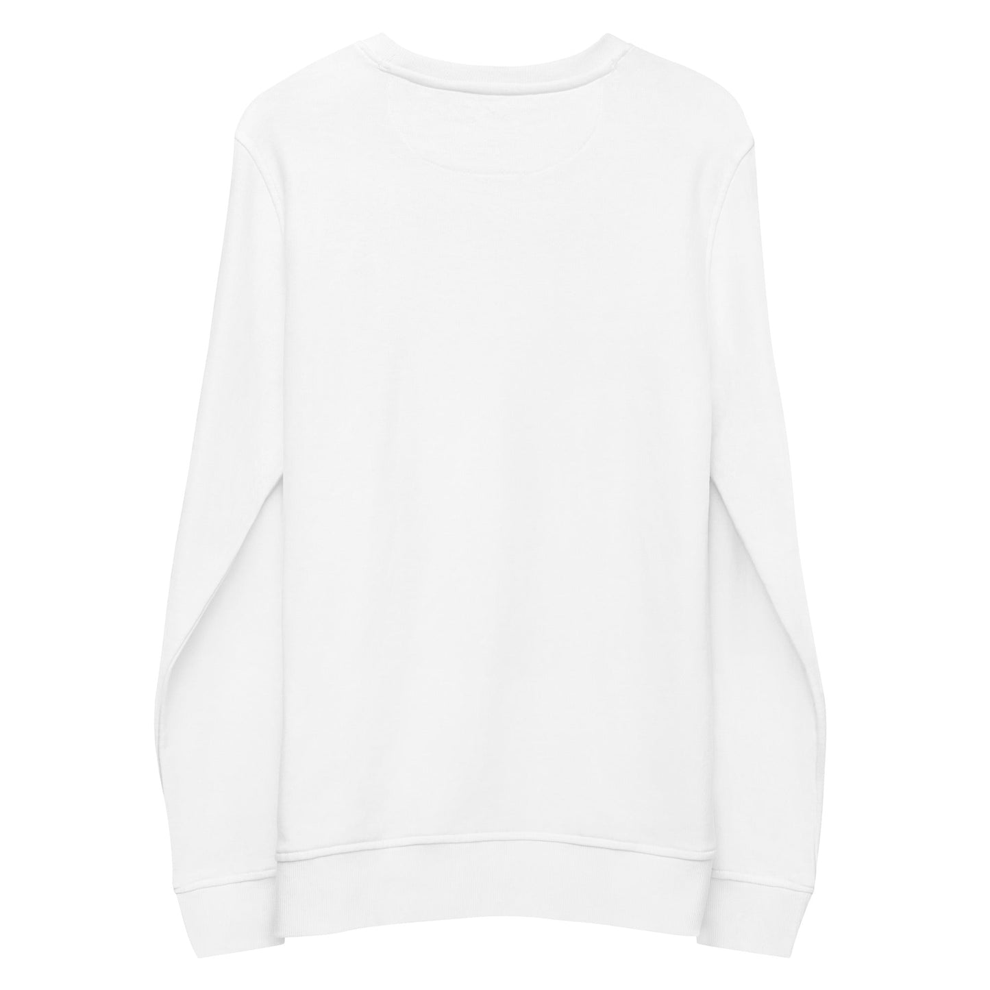 Jordan 17 low unc Born sinner white sweatshirt