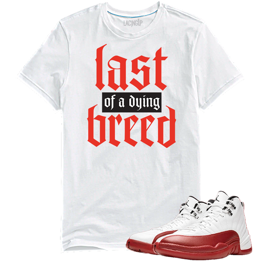 Jordan 12 Cherry breed white tee-Lacing Up
