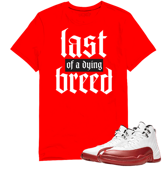 Jordan 12 Cherry breed red tee-Lacing Up