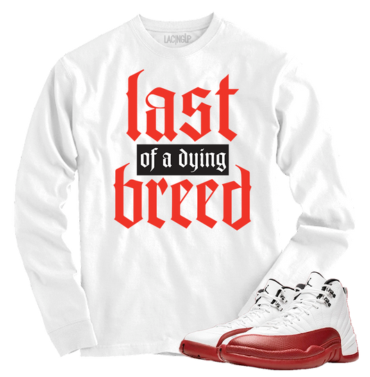 Jordan 12 Cherry breed white long sleeve tee-Lacing Up