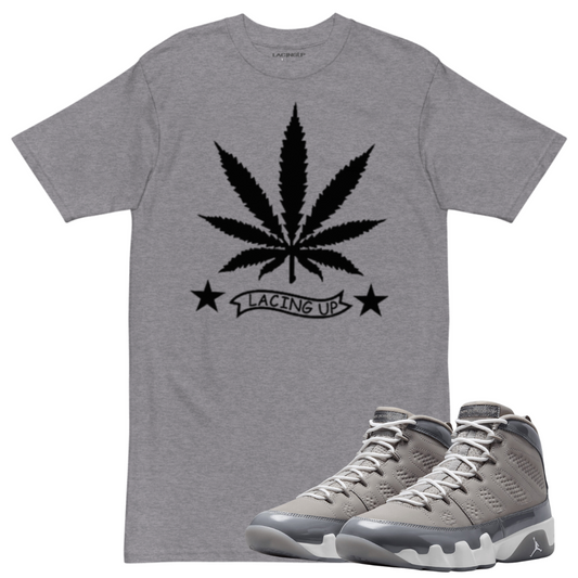 Jordan 9 Cool Grey 4/20 heather grey t-shirt