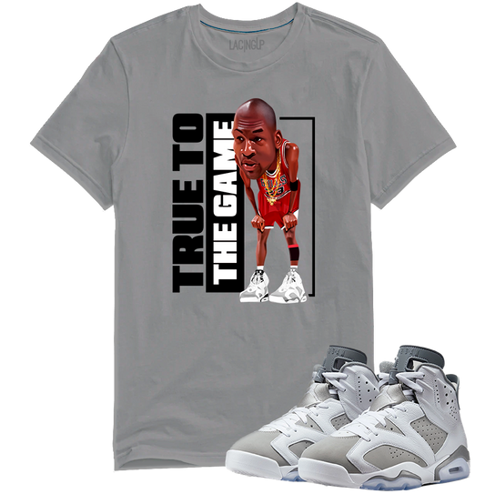 Jordan 6 Cool Grey true to the game grey tee-Lacing Up